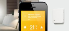 tado-1.jpg