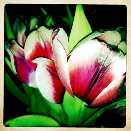 hipstamatic-2.jpg