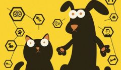 app-chien-chat-1.jpg