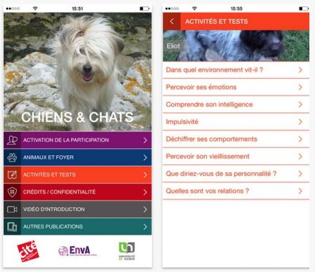 app-chien-chat-2.jpg