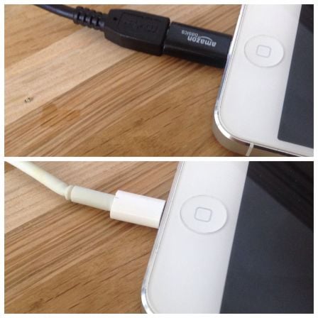 amazon-4.jpg