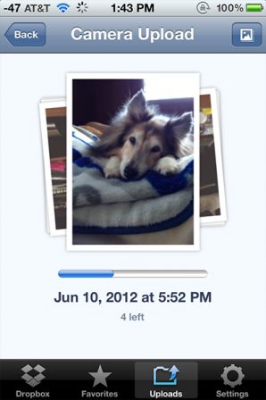 dropbox-1.jpg