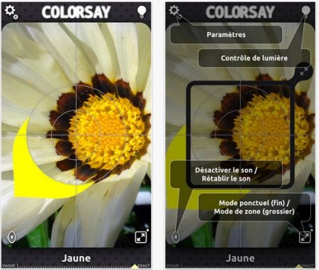 colorsay-2.jpg