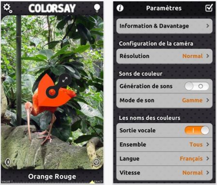 colorsay-3.jpg