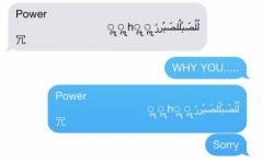 bug-1.jpg