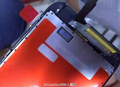 force-6s-1.jpg