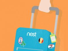 nest-1.jpg