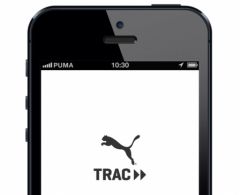 puma-1.jpg