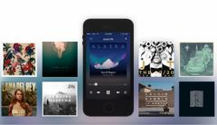 rdio-1.jpg