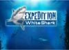 app-requin-1.jpg
