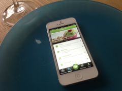 food-1.jpg