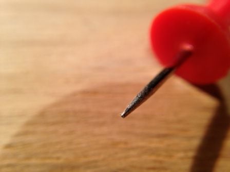 macro-2.jpg