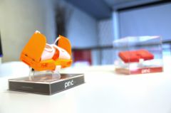 pinc-1.jpg