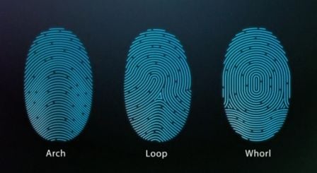 touch-2.jpg