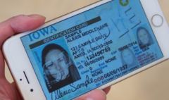permis-1.jpg