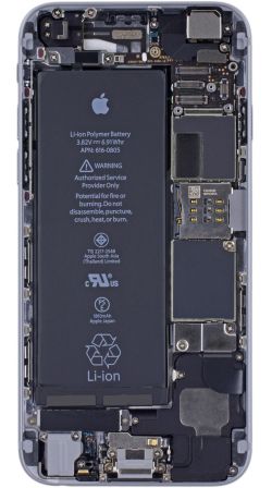 rayonx-2.jpg