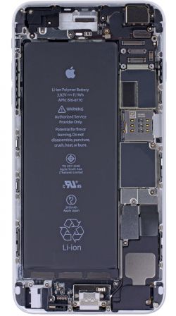 rayonx-3.jpg