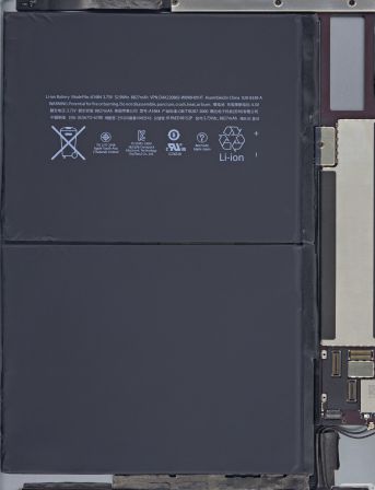rayonx-5.jpg