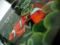 __l'iPhone et le Qtek 9100__