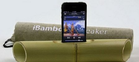 ibamboo-2.jpg, juin 2011 ibamboo-2.jpg