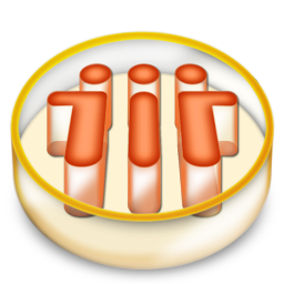 Lotus Notes