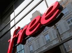 free1.jpg, 2015 free1.jpg