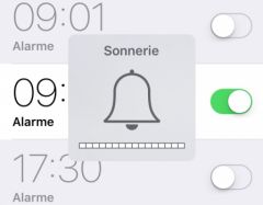 reveil-bug-ios-9.jpg, 2015 reveil-bug-ios-9.jpg