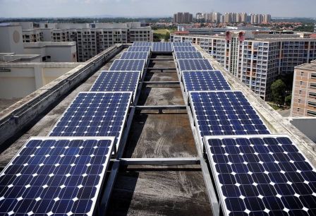 solar-sunseap-2.jpg, 2011 solar-sunseap-2.jpg