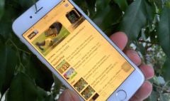 ios-9-3-mode-nuit-6.jpg, 2016 ios-9-3-mode-nuit-6.jpg