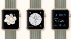 new-apple-watch-bracelets-4.jpg