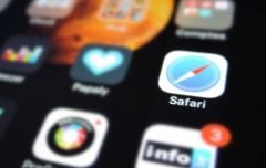 safari-bug-ios-2.jpg, 2016 safari-bug-ios-2.jpg