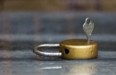 tim-cook-securite-1.jpg, 2016 tim-cook-securite-1.jpg