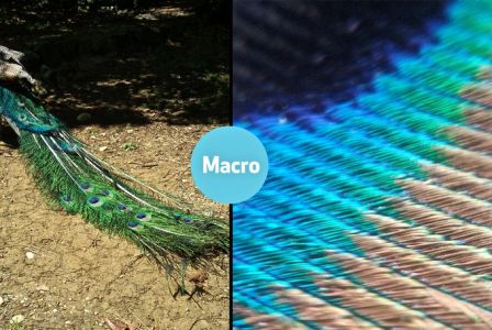 blips-micro-3.jpg, 2016 blips-micro-3.jpg