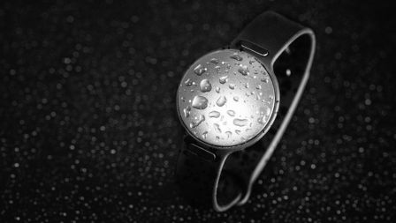 misfit-speedo-shine-2-1.jpg, 2016 misfit-speedo-shine-2-1.jpg