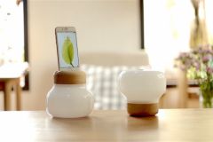 mushroom-led-iphone-3.jpg, 2016 mushroom-led-iphone-3.jpg