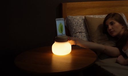 mushroom-led-iphone-5.jpg, 2016 mushroom-led-iphone-5.jpg