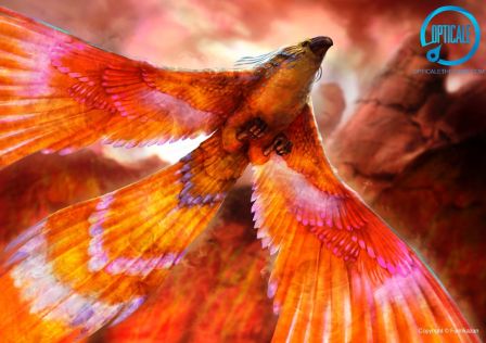 opticale-jeu-iphone-realite-augmentee-5.jpg, 2016 opticale-jeu-iphone-realite-augmentee-5.jpg