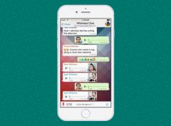 whatsapp-beta-new-version-ios-app-2.jpg, 2016 whatsapp-beta-new-version-ios-app-2.jpg