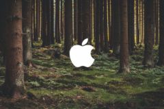 apple-ecelogie-4.jpg, 2016 apple-ecelogie-4.jpg