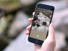 motion-stills-google-app-live-photos-2.jpg, 2017 motion-stills-google-app-live-photos-2.jpg