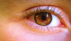 oeil-scanner-iris-iphone-8-rumeur.jpg, 2017 oeil-scanner-iris-iphone-8-rumeur.jpg