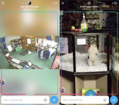 uptime-youtube-google-partage-social-1.jpg, 2017 uptime-youtube-google-partage-social-1.jpg