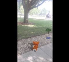 arkit-demo-animal-compagnon-virtuel.jpg, 2017 arkit-demo-animal-compagnon-virtuel.jpg