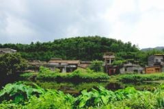 forets-chine-apple-emballage-ecologie.jpg, 2017 forets-chine-apple-emballage-ecologie.jpg