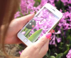 ios-11-heif-avantages-inconvenients-poids-t7.jpg, 2017 ios-11-heif-avantages-inconvenients-poids-t7.jpg