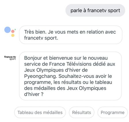 j-o-2018-google-assitant-france-tv-1.jpg, 2017 j-o-2018-google-assitant-france-tv-1.jpg