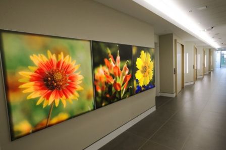 apple-campus-austin-3.jpg, 2015 apple-campus-austin-3.jpg