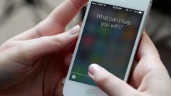 dis-siri.jpg, 2015 dis-siri.jpg