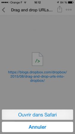 dropbox-sauvegarder-partager-url.jpg