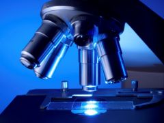 microscope.jpg, 2015 microscope.jpg